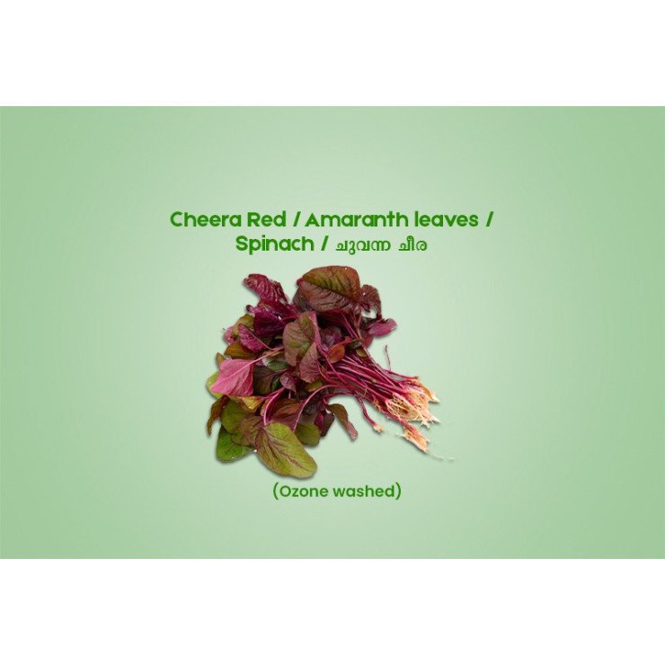 Cheera Red / Spinach / ചുവന്ന ചീര - 200.00 gm ( Ozone Washed)